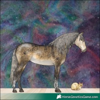 Horse Color:Silver Buckskin Dun Tobiano Rabicano Brindle 