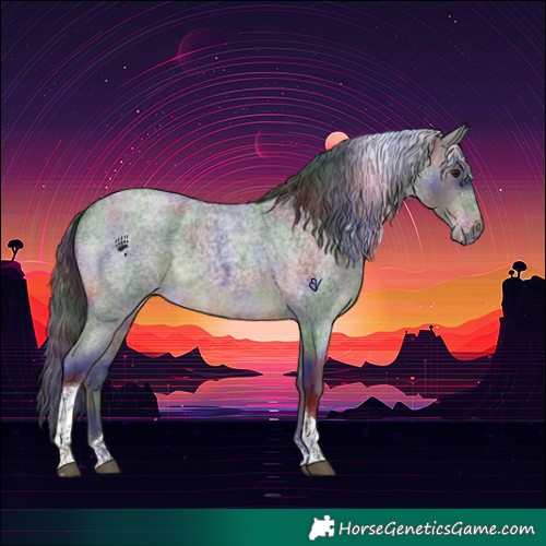 Horse Color:Nacre Brown Roan Tobiano 