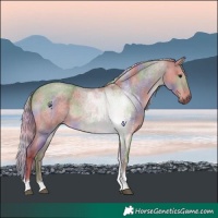 Horse Color:Nacre Silver Grullo Roan Tobiano Brindle 
