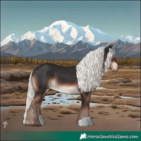 Horse Color:Liver Chestnut Mushroom 