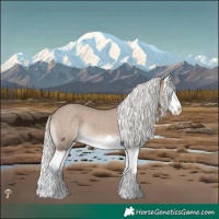 Horse Color:Liver Red Dun Mushroom Splash