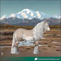 Horse Color:Liver Red Dun Mushroom