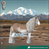 Horse Color:Liver Red Dun Mushroom Splash 