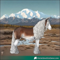 Horse Color:Liver Chestnut Mushroom Splash