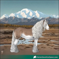 Horse Color:Liver Red Dun Mushroom Splash