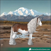Horse Color:Liver Chestnut Mushroom Splash