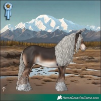 Horse Color:Liver Chestnut Mushroom 