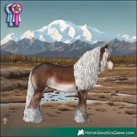 Horse Color:Liver Chestnut Mushroom 