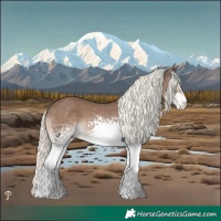 Horse Color:White Spotted Liver Red Dun Mushroom 