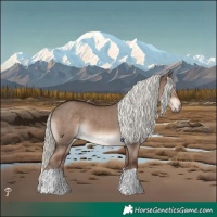 Horse Color:Liver Red Dun Mushroom 