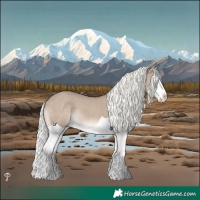 Horse Color:Liver Red Dun Mushroom Splash