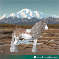 Horse Color:White Spotted Liver Red Dun Mushroom Splash 