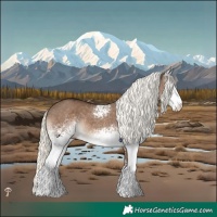 Horse Color:White Spotted Liver Red Dun Mushroom