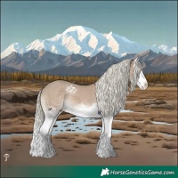 Horse Color:White Spotted Liver Red Dun Mushroom Splash