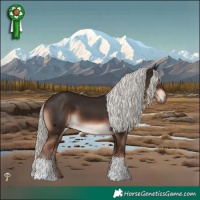 Horse Color:Liver Chestnut Mushroom 