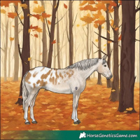 Horse Color:Gray Palomino Dun Tobiano Blanket 