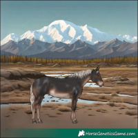Horse Color:Liver Chestnut Mushroom Rabicano 