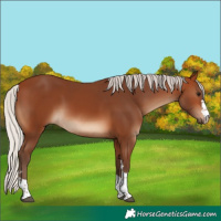 Horse Color:Silver Brown
