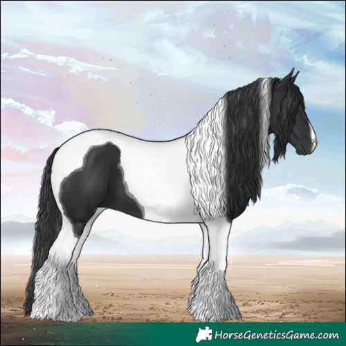 Horse Color:Black Tobiano 