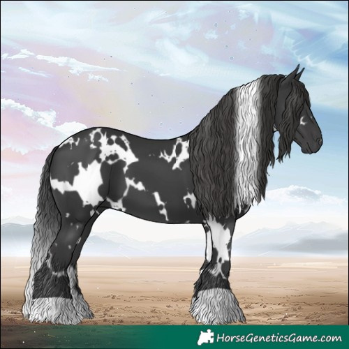 Horse Color:White Spotted Black