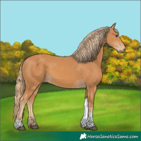Horse Color:Chestnut Tobiano Rabicano