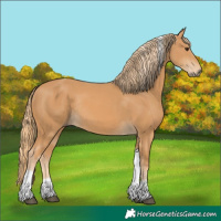 Horse Color:Chestnut Tobiano Rabicano