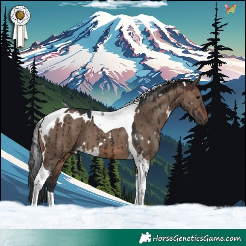 Horse Color:White Spotted Brown Dun Tobiano Brindle 