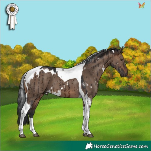 Horse Color:White Spotted Brown Dun Tobiano Brindle 