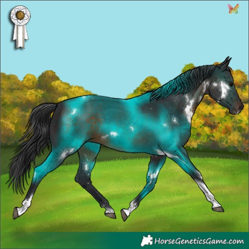 Horse Color:White Spotted Brown Tobiano 