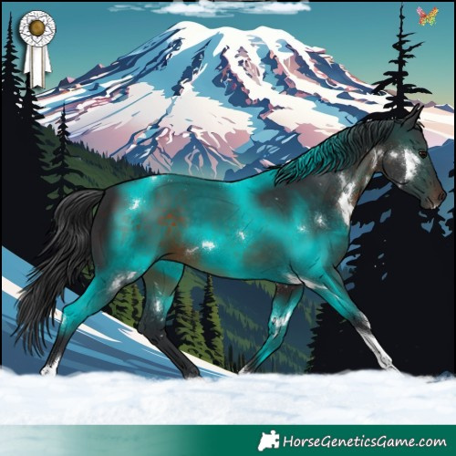 Horse Color:White Spotted Brown Tobiano 