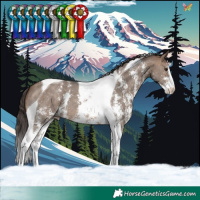 Horse Color:Brown Dun Sabino Tobiano Varnish 