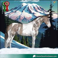 Horse Color:Brown Dun Sabino Tobiano Appaloosa 
