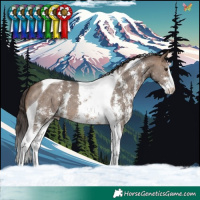 Horse Color:Brown Dun Sabino Tobiano Varnish