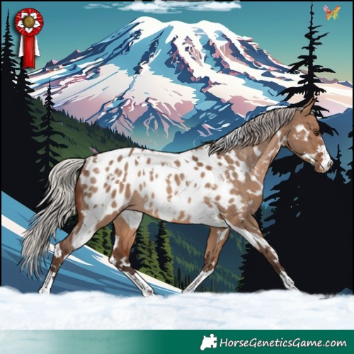 Horse Color:White Spotted Silver Brown Dun Appaloosa Rabicano 