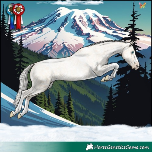 Horse Color:Silver Buckskin Pearl Dun Sabino Tobiano Appaloosa 