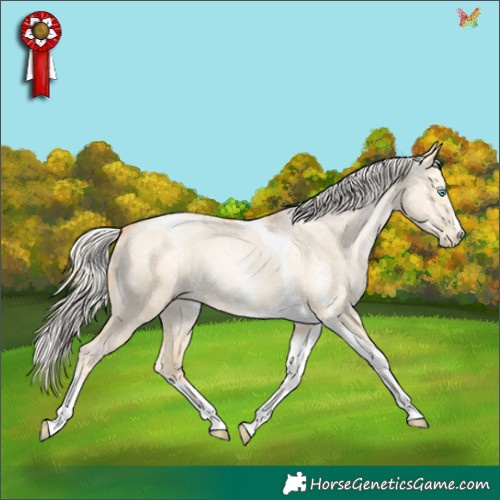 Horse Color:Silver Buckskin Pearl Dun Sabino Tobiano Appaloosa