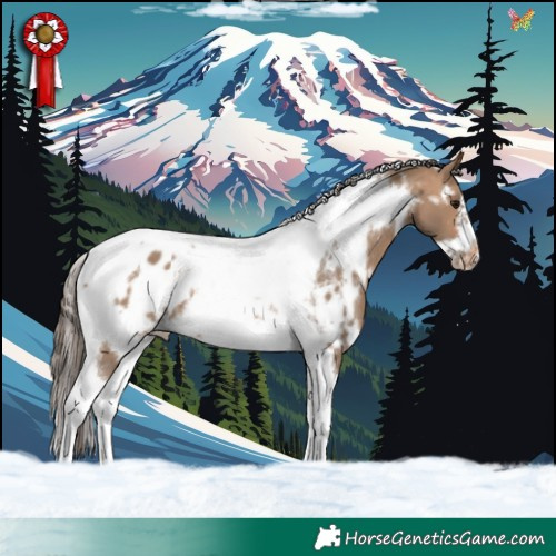 Horse Color:White Spotted Bay Dun Tobiano Frame Appaloosa 