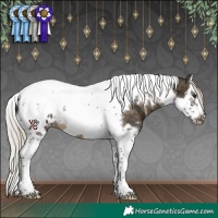 Horse Color:White Spotted Silver Buckskin Splash Tobiano Frame Appaloosa Rabicano
