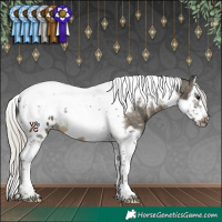 Horse Color:White Spotted Silver Buckskin Splash Tobiano Frame Appaloosa Rabicano