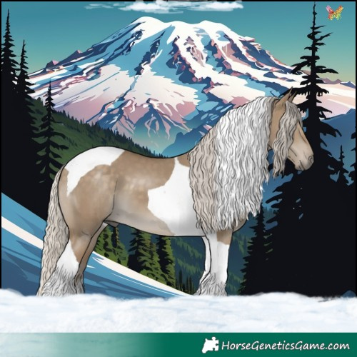 Horse Color:Silver Smoky Grullo Tobiano 