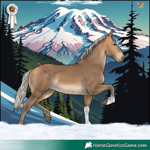 Horse Color:Silver Buckskin Tobiano 