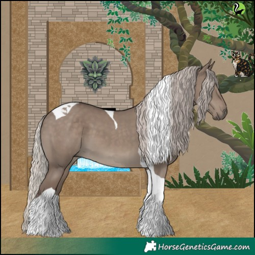 Horse Color:Silver Grullo Tobiano 