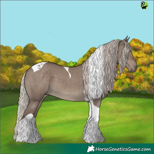 Horse Color:Silver Grullo Tobiano 