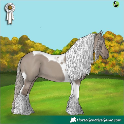 Horse Color:Silver Grullo Tobiano