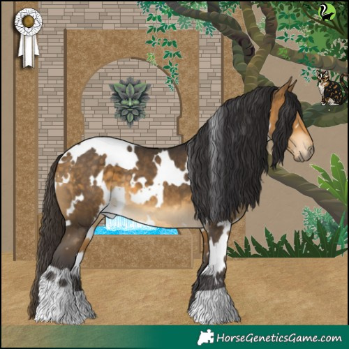 Horse Color:White Spotted Buckskin 