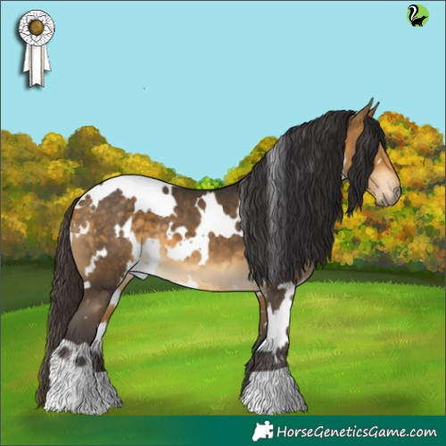 Horse Color:White Spotted Buckskin 