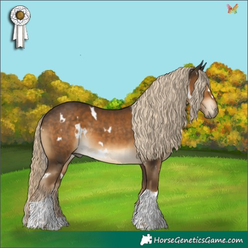 Horse Color:White Spotted Chocolate Palomino Tobiano 