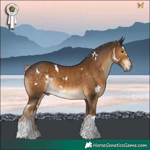 Horse Color:White Spotted Chocolate Palomino Tobiano 