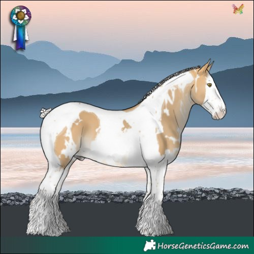 Horse Color:White Spotted Silver Buckskin Dun Splash Tobiano 