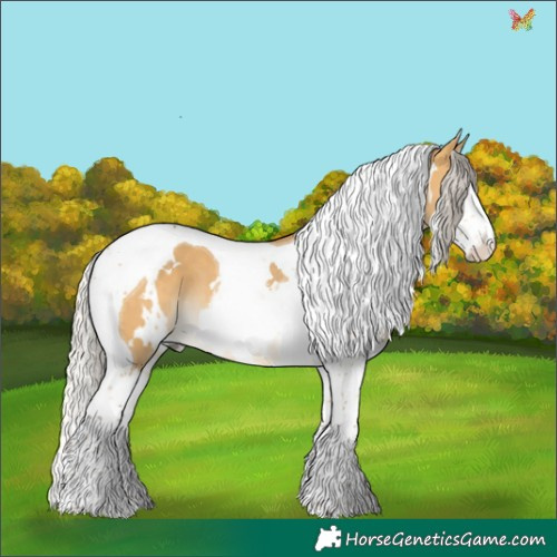 Horse Color:White Spotted Silver Buckskin Dun Splash Tobiano